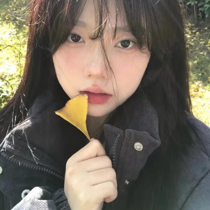 兔子